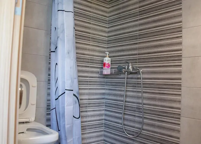 Apartment Naia House *